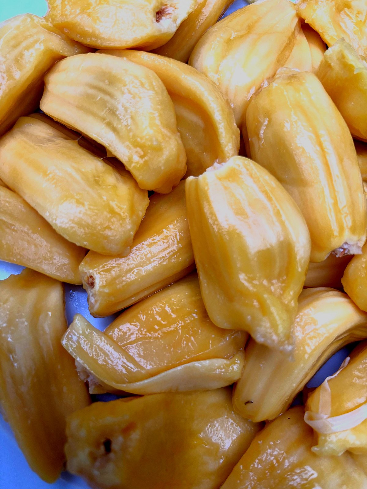 কাঁঠাল, কাঁঠাল দিবস