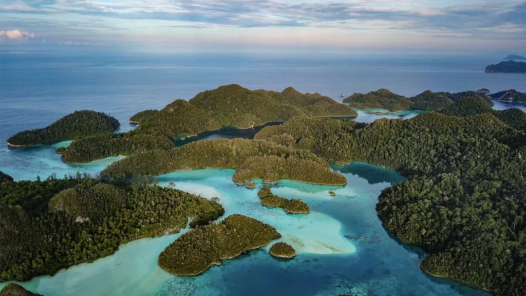 ইন্দোনেশিয়ার রাজা আম্পাত সমুদ্রের অ্যামাজন হিসেবে পরিচিত