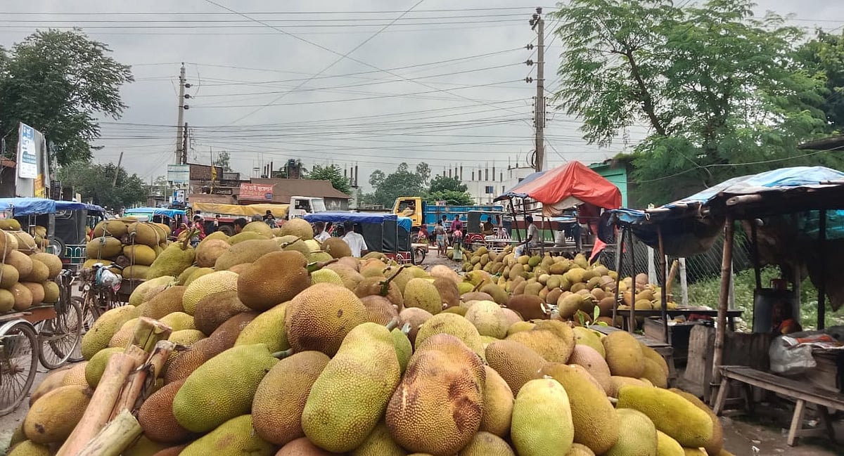 কাঁঠাল কিনে রাস্তার পাশে স্তূপ করে রেখেছেন পাইকারেরা। দিন শেষে কাঁঠালগুলো ট্রাকে করে ঢাকাসহ সারা দেশে নিয়ে যাওয়া হয়। শনিবার উপজেলার বড়চওনা বাজারে