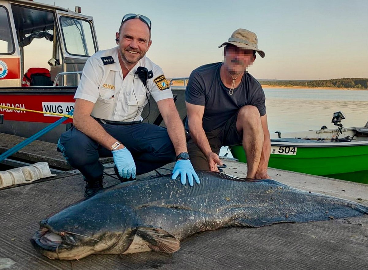 দক্ষিণ জার্মানির মিটেলফ্রাঙ্কেনের একটি হ্রদে দুই মিটারের বেশি লম্বা একটি মাছের আক্রমণে অন্তত পাঁচজন আহত হয়েছেন। ২২ জুন, ২০২৫