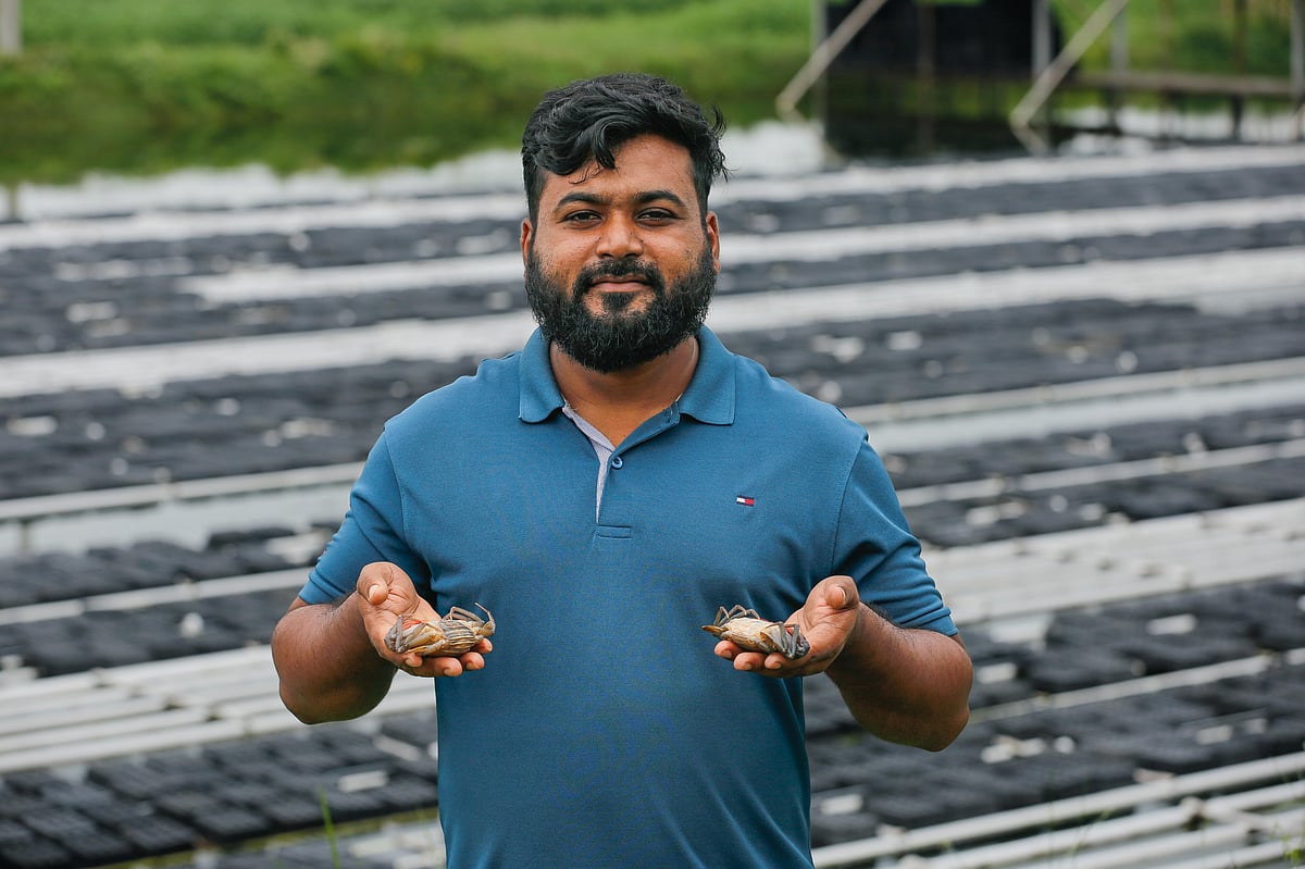 চাকরির বন্দিজীবন ভালো লাগেনি আবদুল্লাহ আল মামুন সজীবের। তাই চাকরি ছেড়ে উদ্যোক্তা হওয়ার সিদ্ধান্ত নেন। এখন তিনি সফল মৎস্য উদ্যোক্তা।