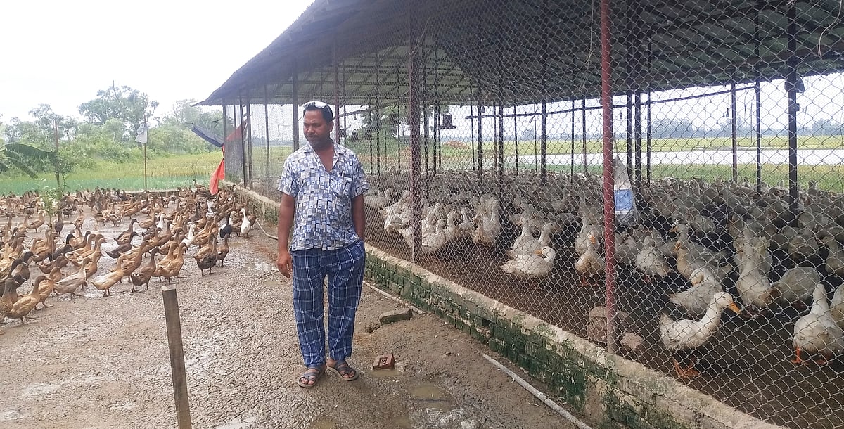 দিনমজুর থেকে সফল খামারি মতিউর রহমান। সম্প্রতি নওগাঁর মহাদেবপুর উপজেলার বাগডোব এলাকায়