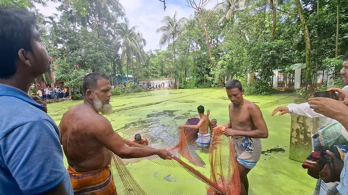 নোয়াখালীর হাতিয়ায় কুমিরের সন্ধানে পুকুরে জাল ফেলা হয়েছে। তবে সন্ধান মেলেনি কুমিরের। আজ দুপুরে তোলা। ছবি: সহকারী বন সংরক্ষক এ কে এম আরিফ-উজ-জামানের কাছ থেকে পাওয়া।