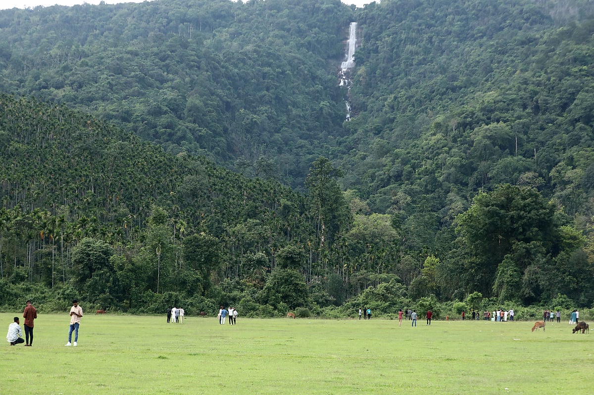 সবুজ মাঠ পেরিয়ে দূরে সবুজ পাহাড় থেকে নেমে এসেছে ঝরনাধারা