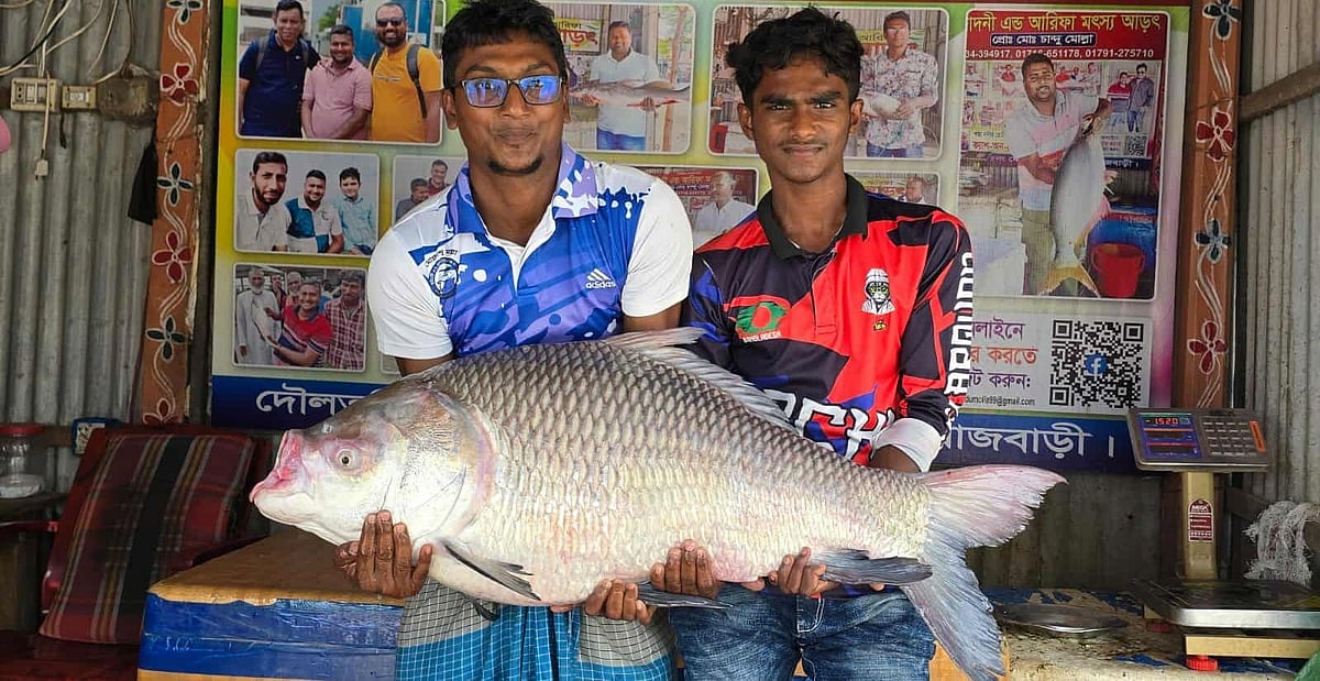রাজবাড়ীর গোয়ালন্দ উপজেলার দৌলতদিয়া ঘাট বাজারে আজ বৃহস্পতিবার ২১ কেজি ৬০০ গ্রামের কাতলা মাছটি নিলামে তোলা হয়