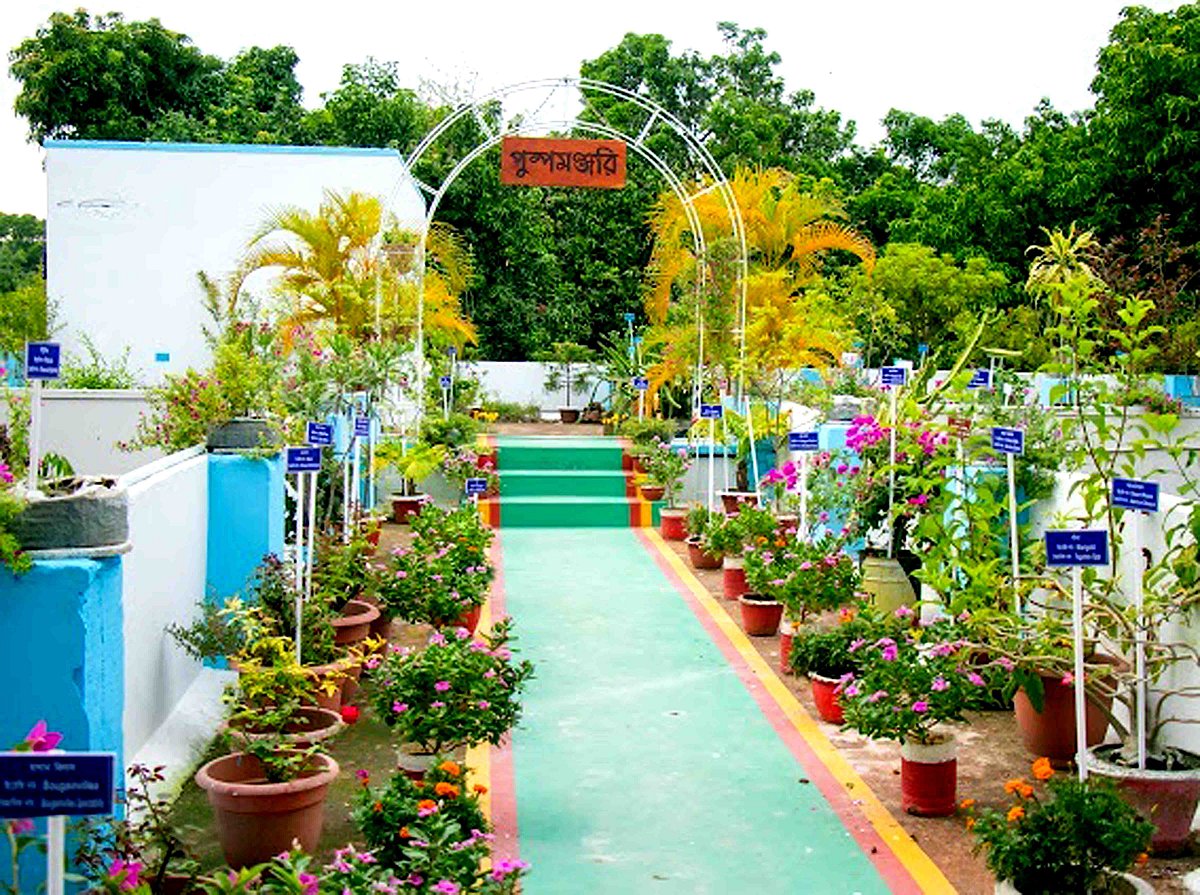 বাগানটিকে পরিকল্পনামাফিক সাজানো হয়েছে। বিভিন্ন প্রজাতির গাছগুলো আলাদা আলাদা অবস্থানে রেখে সেঁটে দেওয়া হয়েছে বৈজ্ঞানিক নাম ও নির্দেশনা। গতকাল নাটোর জেলা প্রশাসকের কার্যালয়ের ছাদে