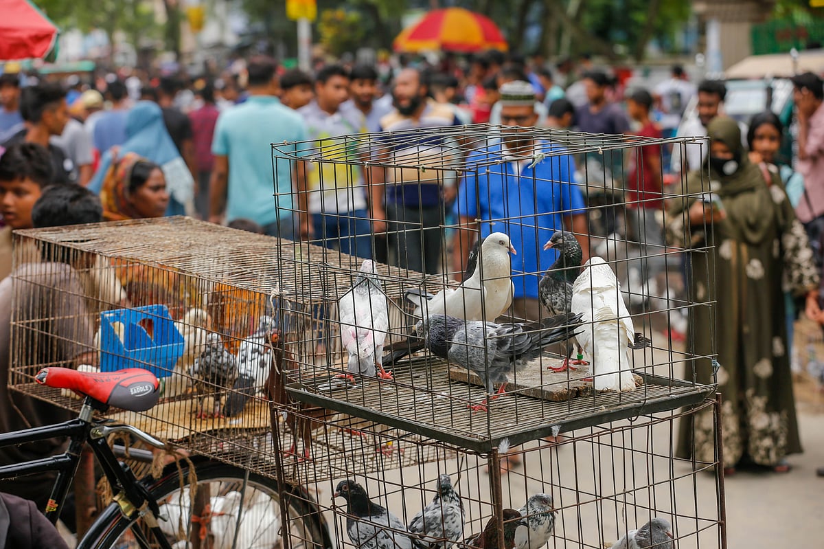 বহু বছর ধরে খুলনার নয়াবাটিতে প্রতি শুক্রবার বসে পোষা পশুপাখির হাট