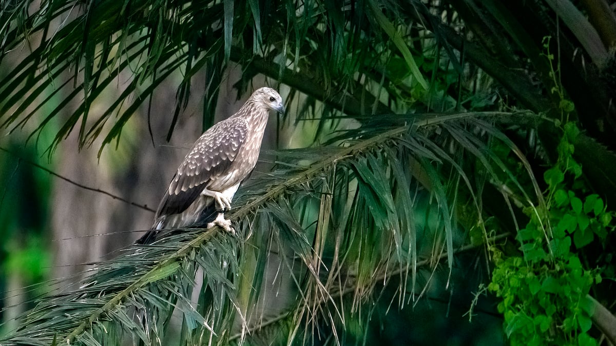 Onam oglini orgatadi rus porno filmini tomosha qiling Porno kompilyatsiya konfet ichida mushuk