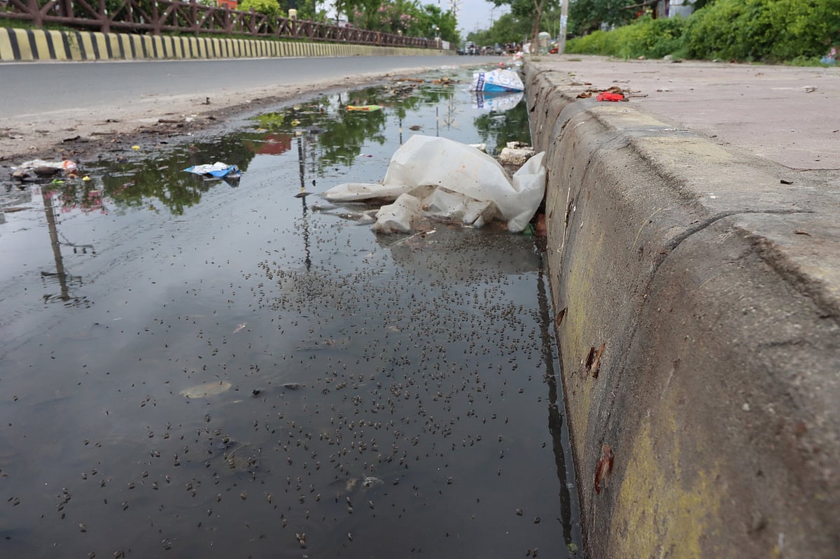 রাস্তার পাশে জমে থাকা পানিতে জন্ম নিচ্ছে ডেঙ্গুর লার্ভা। ছবিটি রাজশাহী কোর্ট স্টেশনের পূর্বপাসের বাইপাস সড়ক থেকে তোলা