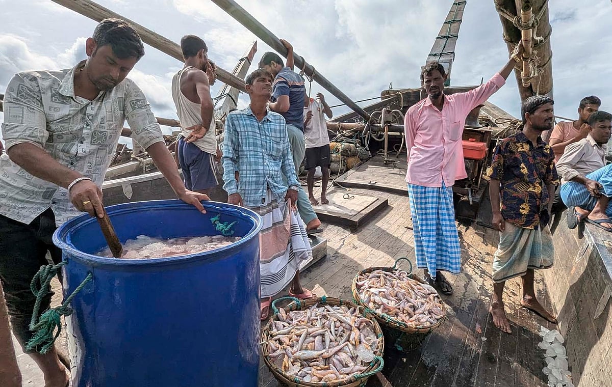 ইলিশ ধরা না পড়লেও সাগরে ধরা পড়ছে প্রচুর পরিমাণ লইট্টা মাছ। আজ সকালে কক্সবাজারের শহরের বাঁকখালী নদীর ফিশারিঘাটে