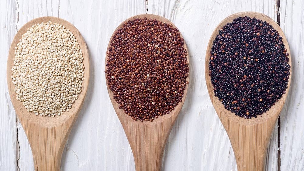 পুষ্টিগুণের কারণে জনপ্রিয়তা বাড়ছে কিনোয়ার