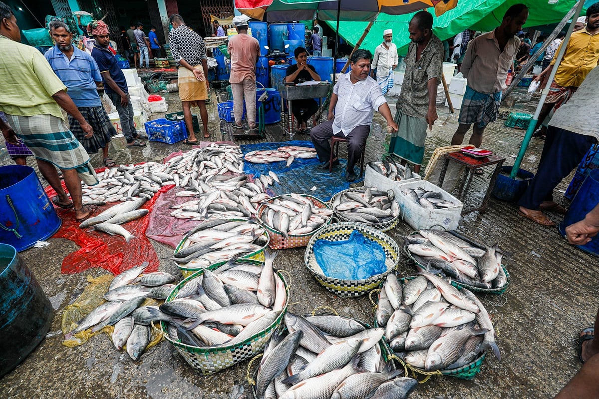 সামুদ্রিক মাছের পাশাপাশি বিক্রি হচ্ছে মিঠাপানির মাছ