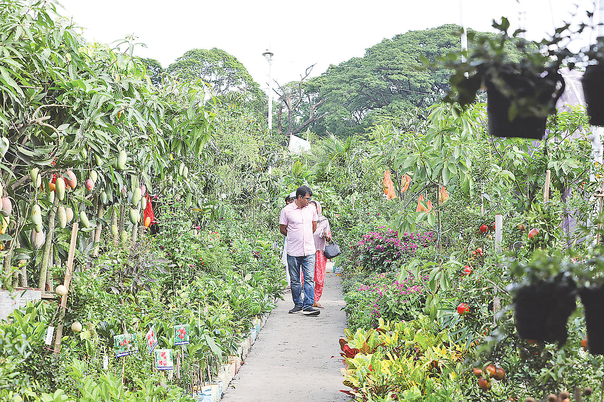 রাজধানীর শেরেবাংলা নগরে জাতীয় বৃক্ষমেলা প্রাঙ্গণে