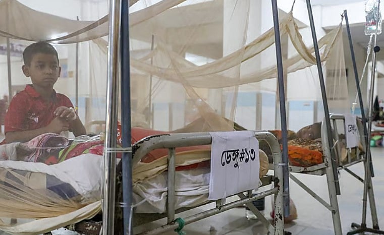 ডেঙ্গুতে আক্রান্ত রোগীদের মধ্যে শিশুর সংখ্যা অনেক। মুগদা হাসপাতালের ডেঙ্গু ইউনিট। ঢাকা, ২৭ জুন