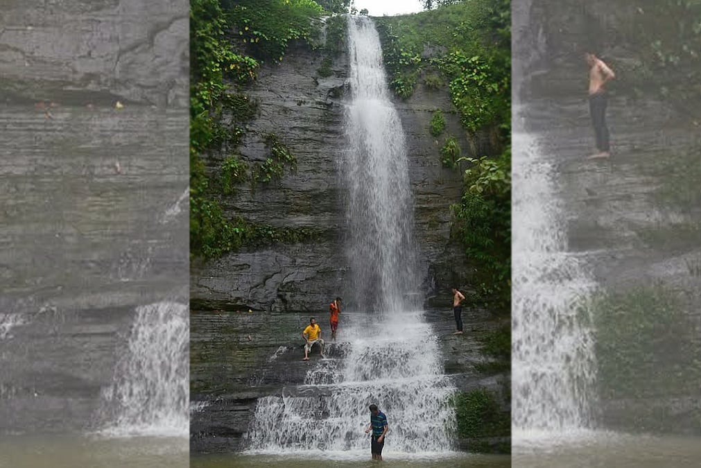 Eshaklar porno chochqachilik banki