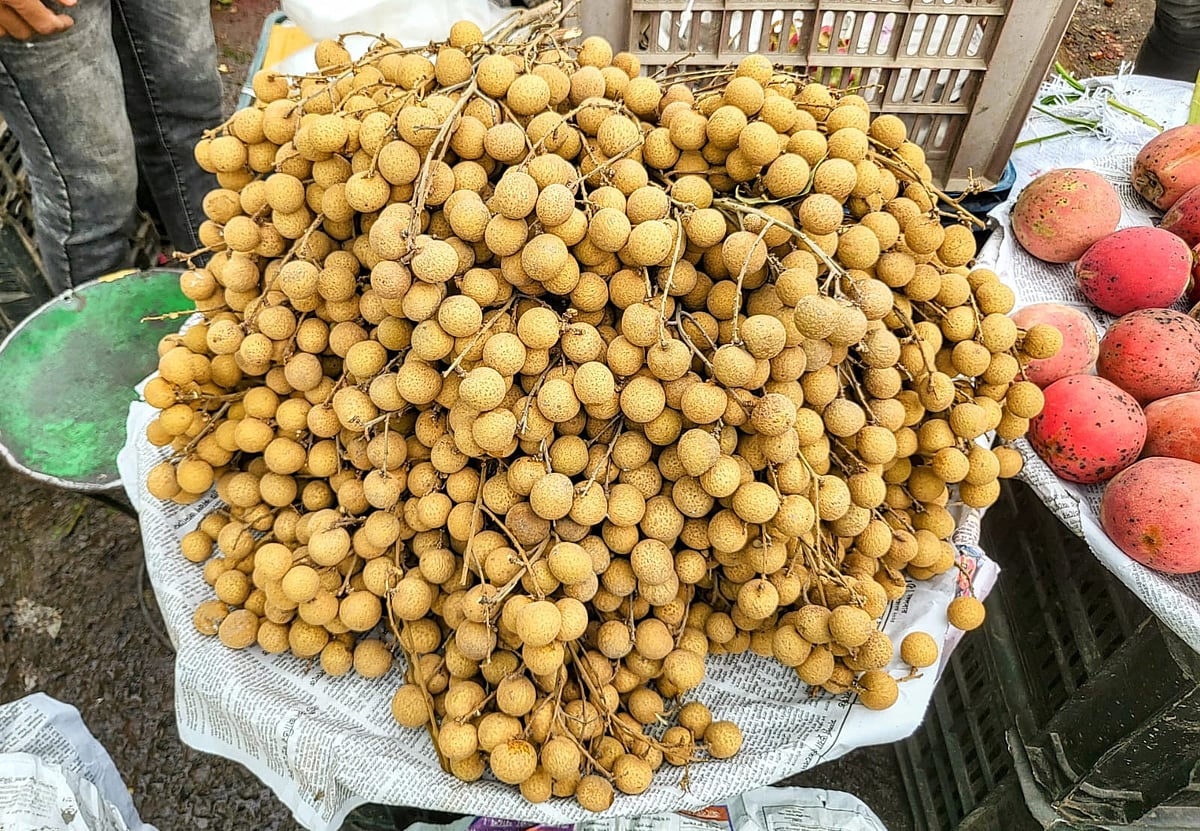 বাজারে বিক্রি হচ্ছে মানিকগঞ্জের কাঠলিচু। আজ রবিবার সকালে রাজধানীর কারওরান বাজারে