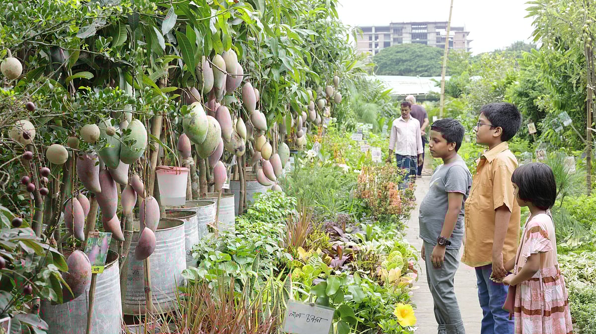 বৃক্ষমেলায় বিক্রি হচ্ছে নানা ধরনের ফলের গাছ
