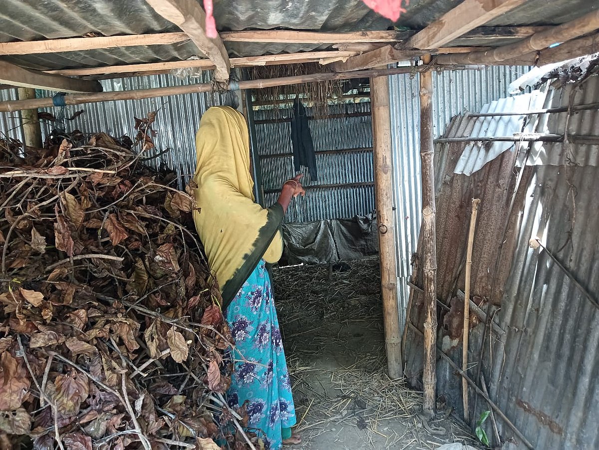 গরু চুরি হওয়ার পর মেনারুলের খামারটি এখন প্রায় শূন্য