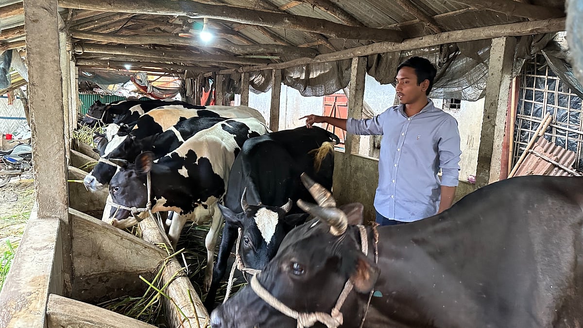 নিজের খামারে মোহাম্মদ ফয়সাল। গত শুক্রবার বিকেল পাঁচটার দিকে কক্সবাজারের চকরিয়া উপজেলার পশ্চিম কোনাখালীর বাজারপাড়া এলাকায়