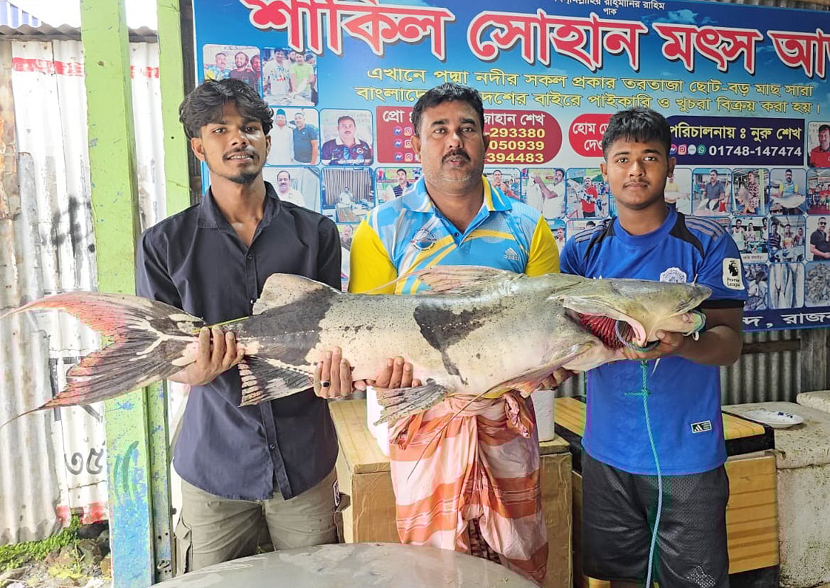 রাজবাড়ীর গোয়ালন্দ উপজেলায় আজ শুক্রবার সকালে নিলামে তোলা হয় প্রায় ২৭ কেজি ওজনের বাগাড়টি। দৌলতদিয়া ঘাট বাজারের একটি আড়তে