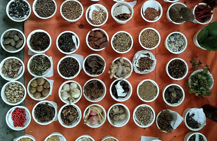 ‘বাংলাদেশে কৃষি-প্রতিবেশ বা বাস্তুসংস্থান এলাকা ৩০ প্রকারের। এসব এলাকা অনুসারে ধান ও সবজির বীজ কৃষকদের মধ্যে ছড়িয়ে দেওয়া দরকার।’