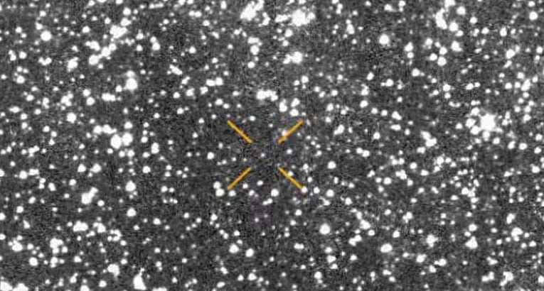 অ্যাটলাস প্রাথমিকভাবে দেখা গেছে চিলিতে