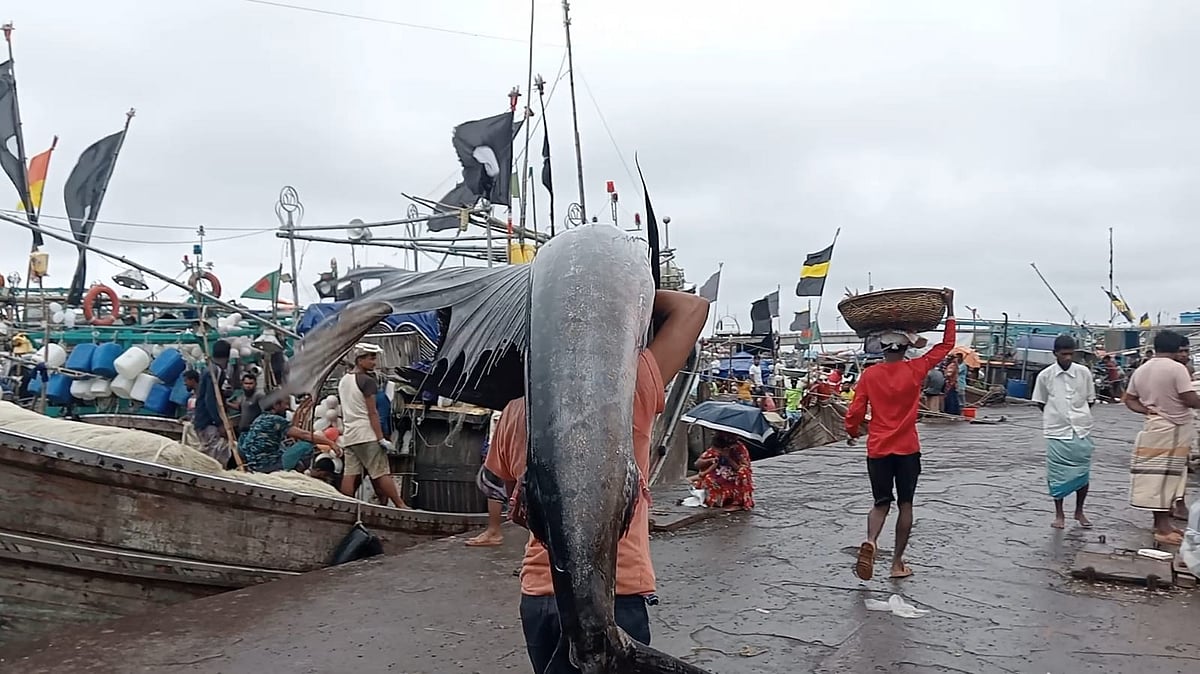 আলীপুর মৎস্যবন্দরের বিএফডিসি মার্কেটে বিক্রির জন্য তোলা পাখি মাছ। আজ সোমবার বিকেলে