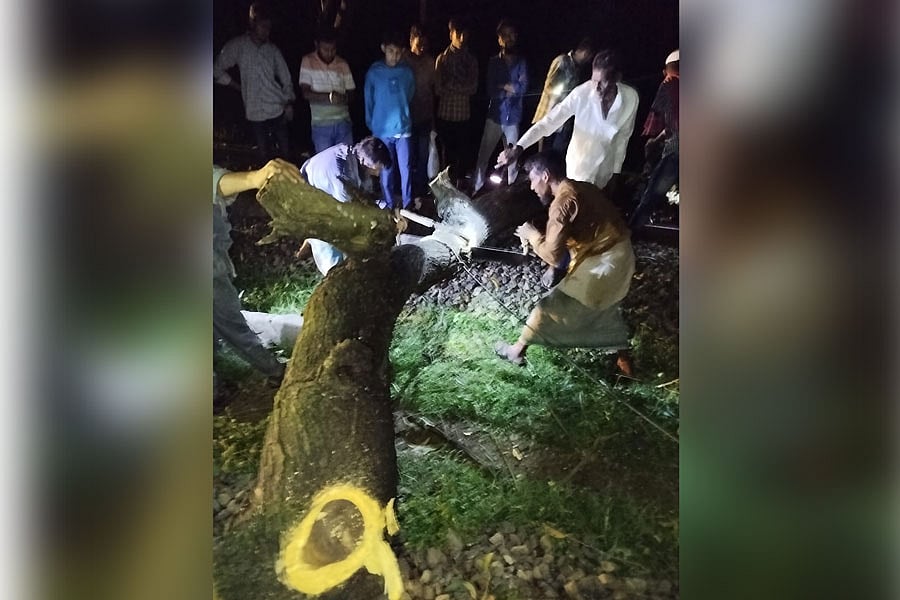 চট্টগ্রামের সীতাকুণ্ডে রেললাইনের ওপর পড়া গাছ কেটে সরিয়ে নেওয়া হয়। আজ রাতে