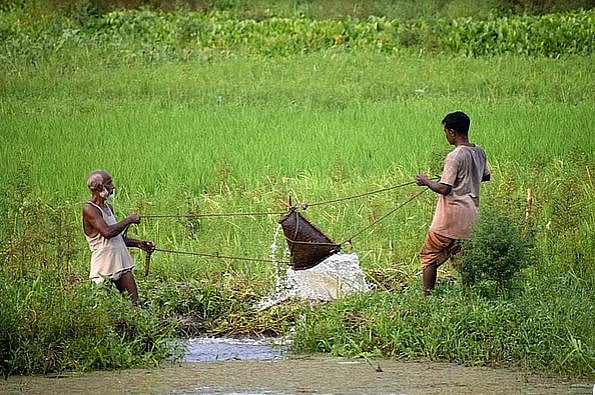 জলবায়ু পরিবর্তনের কারণে অনেক প্রাণী শহরাঞ্চল বা লোকালয়ে চলে আসে, যা মানুষের জন্য নতুন হুমকি তৈরি করে।