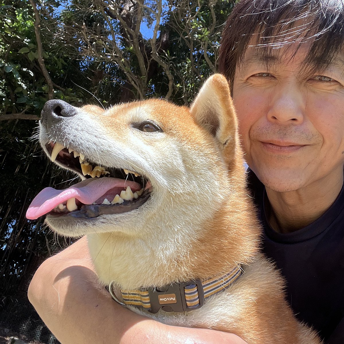 আশ্রয়কেন্দ্রে কুকুরের সঙ্গে হিরোতাকা সাইতো