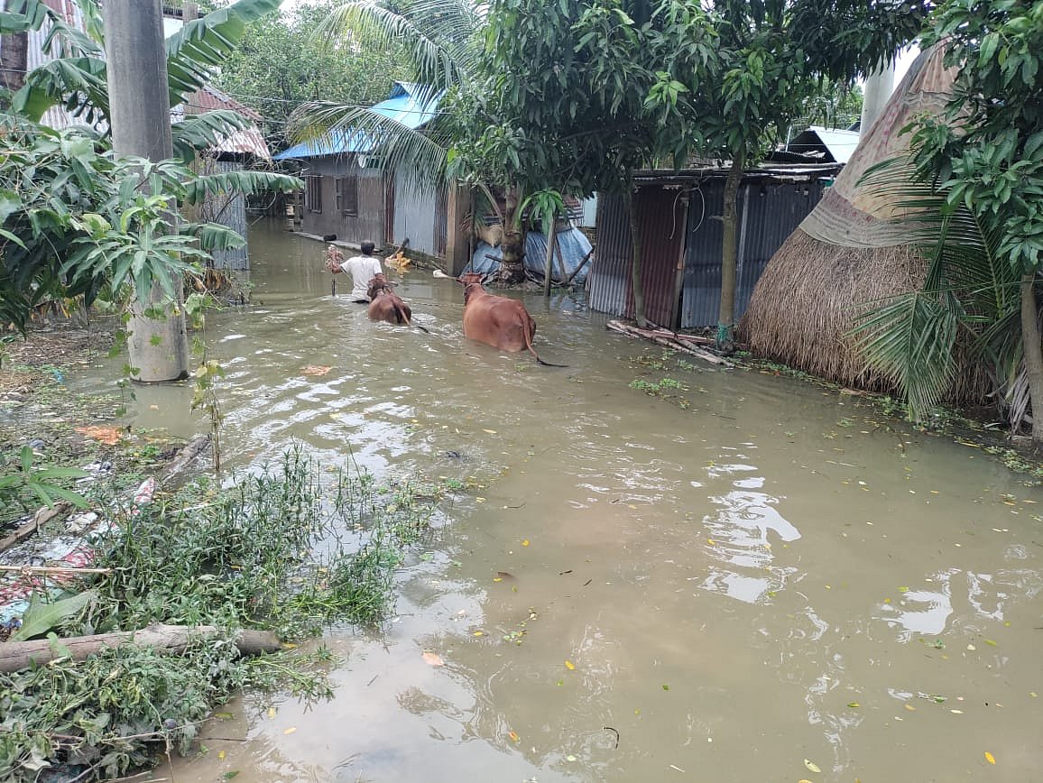 ফেনীর ফুলগাজী উপজেলার আনন্দপুর ইউনিয়নের গিল্লা বাড়িয়া এলাকায় এখনো পানিবন্দী অনেক মানুষ। গতকাল বিকেলে তোলা