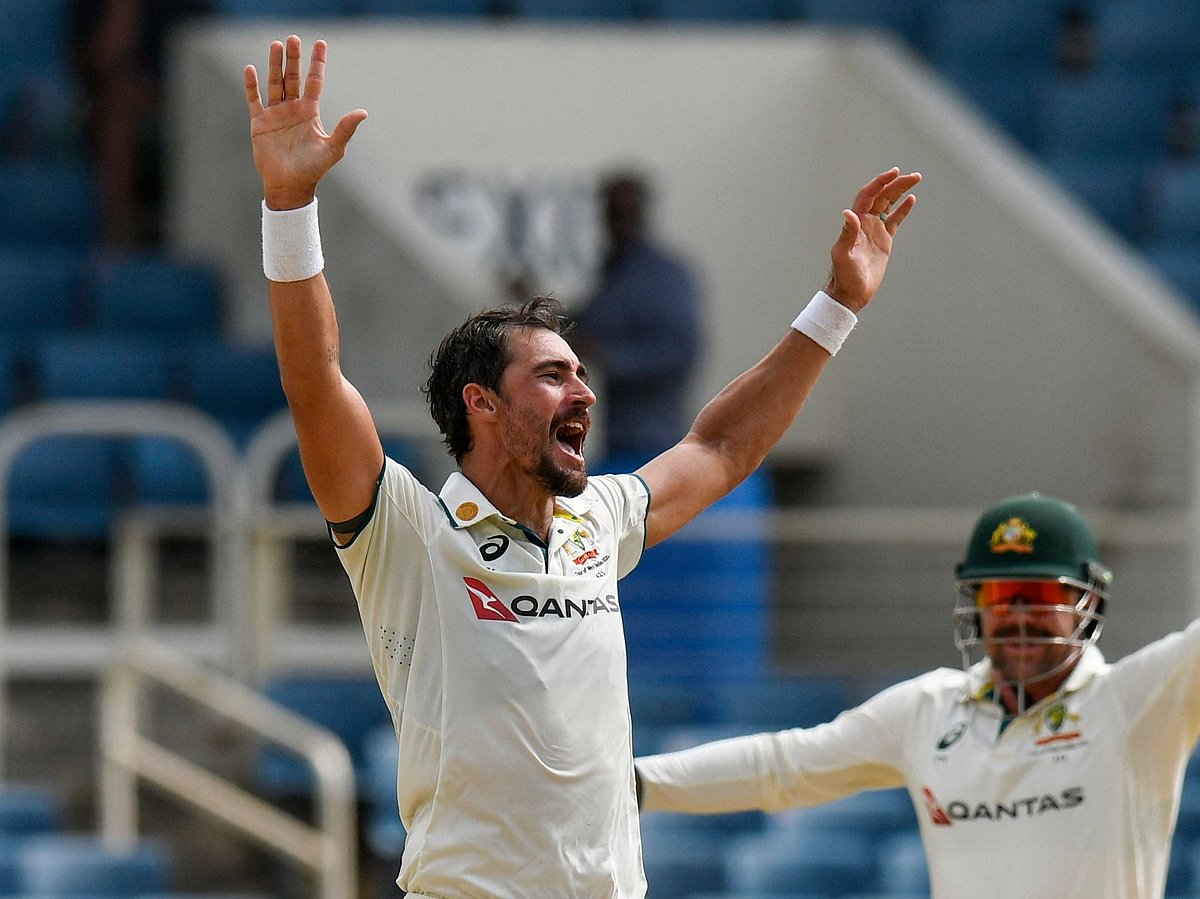 ৬ উইকেট পেয়েছেন মিচেল স্টার্ক