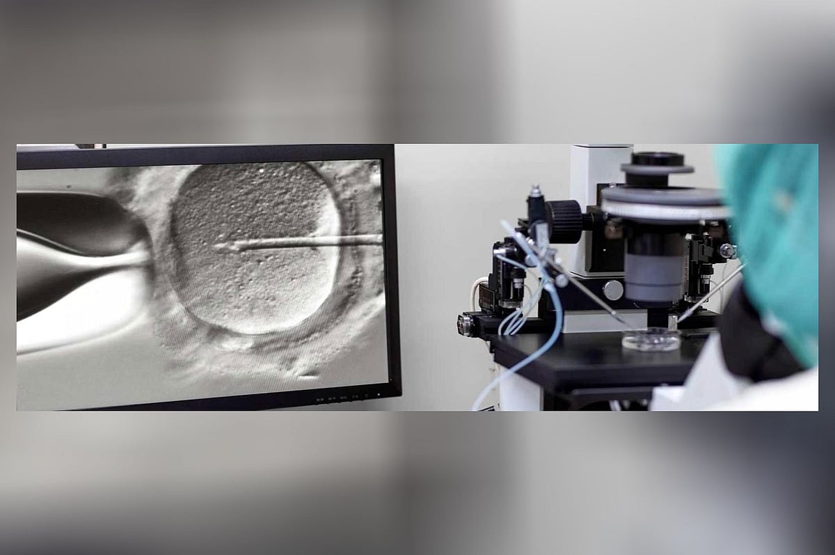 আইভিএফ (ইন-ভিট্রো ফার্টিলাইজেশন) পদ্ধতিতে অনেকে সন্তান জন্মদান করছেন