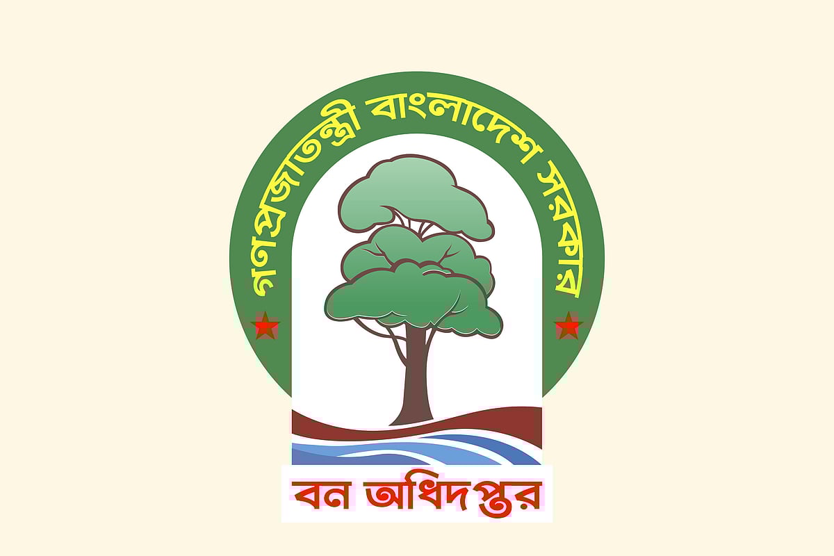 বন অধিদপ্তর