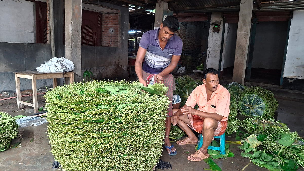পানের বাজারে ধস নেমেছে। দাম অনেক কমে গেছে। রাজশাহীর মোহনপুর উপজেলার মৌগাছি বাজারে।