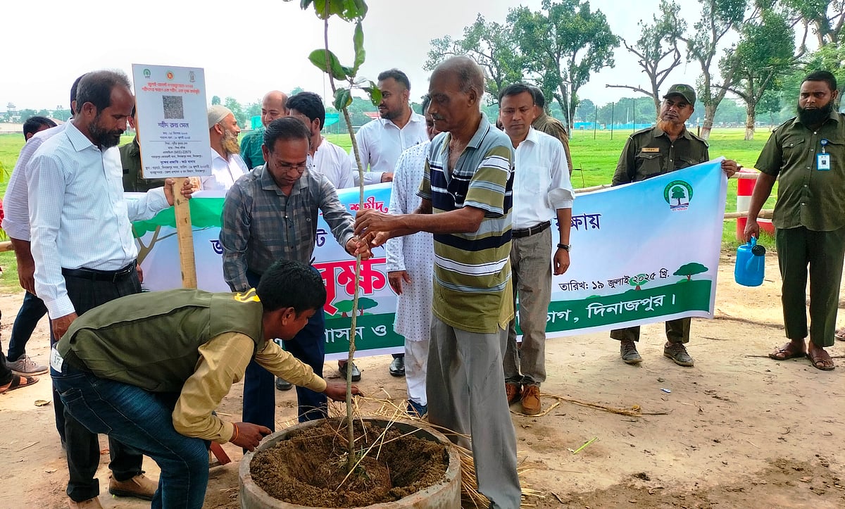 দিনাজপুরের শহীদ ৮ জনের স্মরণে ৮টি বৃক্ষরোপণের উদ্বোধন করেন দিনাজপুরের জেলা প্রশাসক । সঙ্গে ছিলেন গণ-অভ্যুত্থানে নিহত রুদ্রর বাবা। আজ শনিবার সকালে