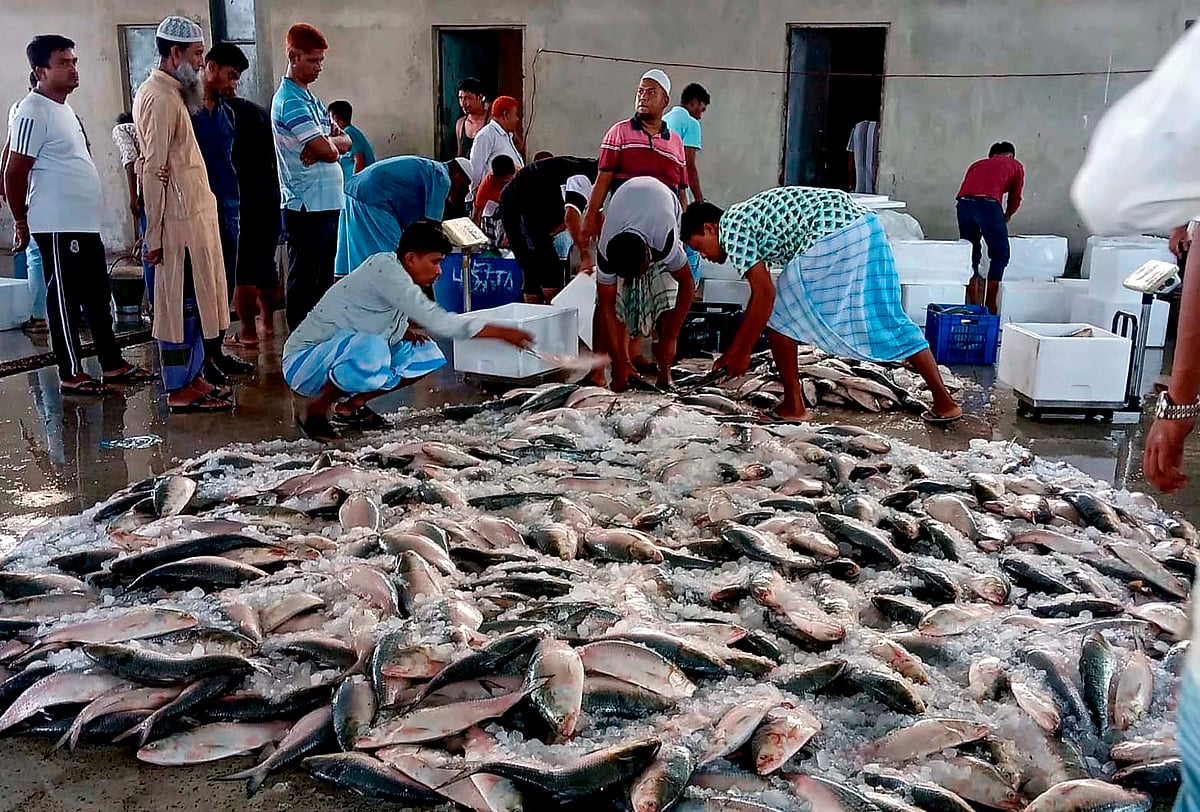 কক্সবাজার শহরের বাঁকখালী নদীর ফিসারীঘাটে বিক্রি হচ্ছে ইলিশ। আজ সকালে