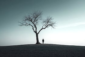 মেয়েটি আজও দাঁড়িয়ে