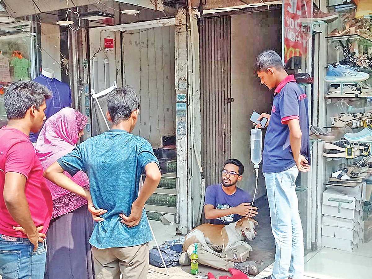 একটি অসুস্থ কুকুরকে সুস্থ করে তোলার চেষ্টা করছেন তাওহিদুর রহমান ও সিয়াম চৌধুরী নামের দুই তরুণ। গত শনিবার দুপুরে মিরপুর-১০ নম্বরে