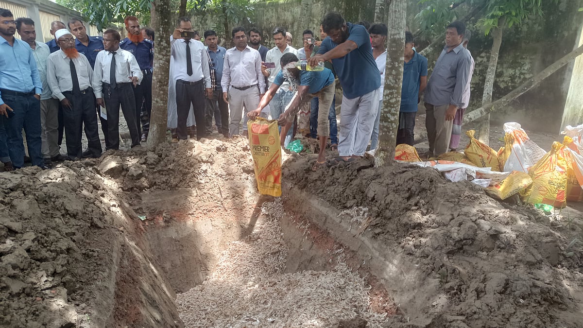 আদালতের পেছনে গর্ত করে মাছগুলো পুঁতে ফেলছে বনকর্মীরা। আজ বৃহস্পতিবার