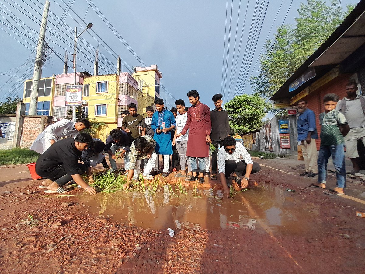 সড়কে প্রতীকী ধানের চারা রোপণ। শুক্রবার বিকেলে রংপুর নগরের সাতমাথা রেলগেটসংলগ্ন এলাকায়