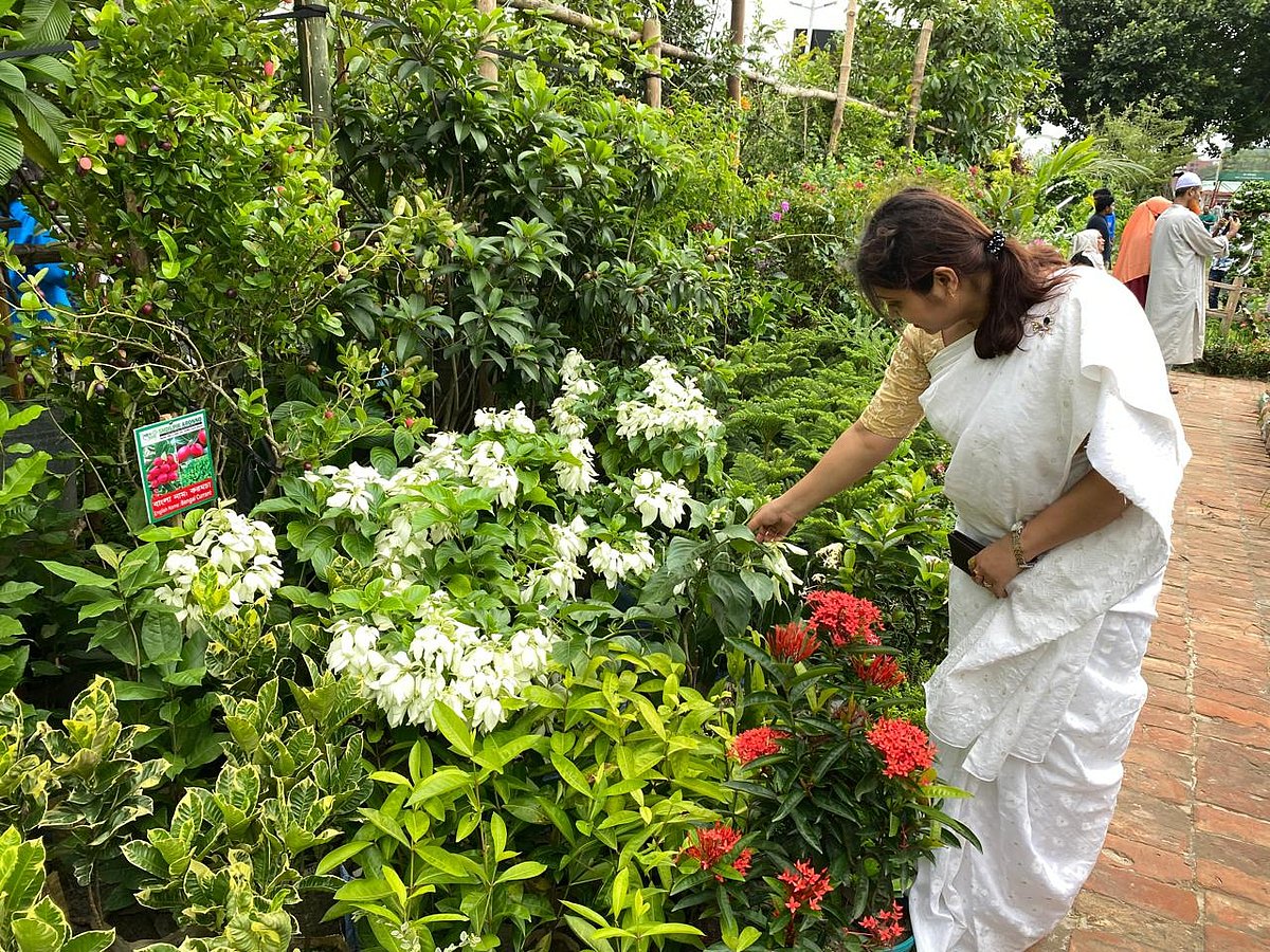 জাতীয় বৃক্ষমেলার একটি স্টলে ফুলের চারা দেখছেন একজন বৃক্ষপ্রেমী। ঢাকা, ২৬ জুলাই