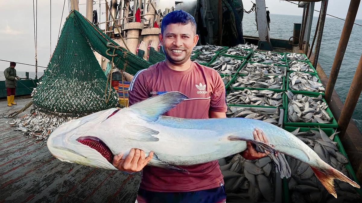 বিচিত্র সব মাছ নিয়ে ভিডিও বানান শহীদ সরদার