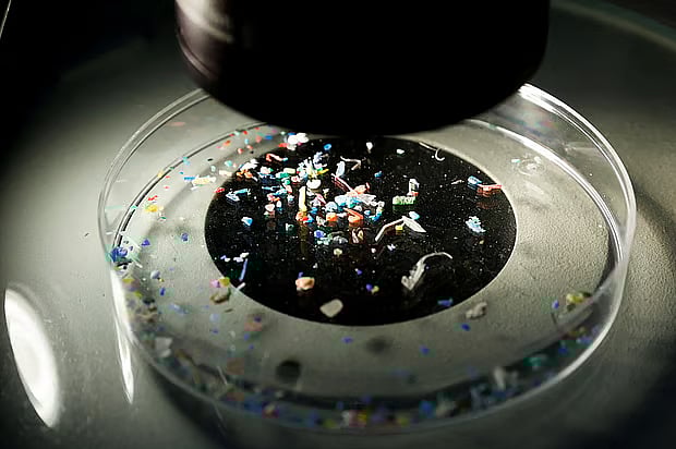 মাইক্রোপ্লাস্টিক