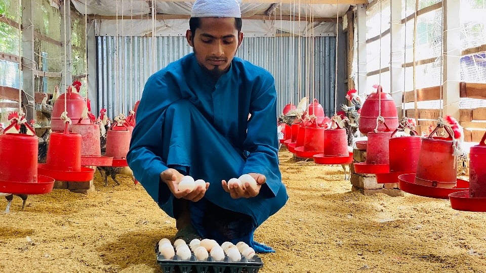 খামার থেকে ডিম সংগ্রহ শেষে হাতে নিয়ে যাচাই-বাছাই করছেন আকরাম। সম্প্রতি নড়াইল সদর উপজেলার সিঙ্গিয়ায় ভাই ভাই অ্যাগ্রো মুরগি ফার্মে