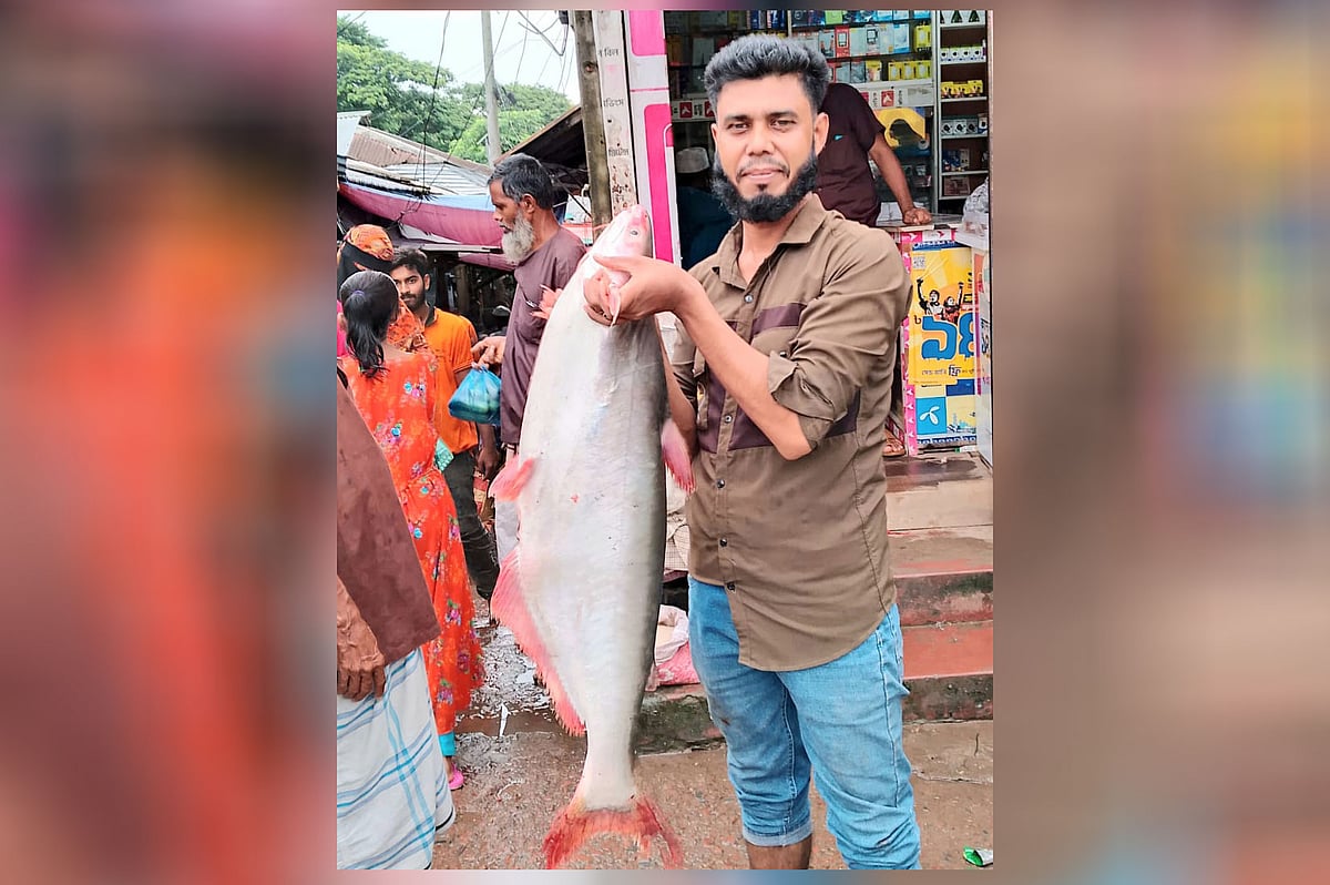 বরগুনায় পায়রা নদীতে বড়শিতে ধরা পড়া পাঙাশ মাছ