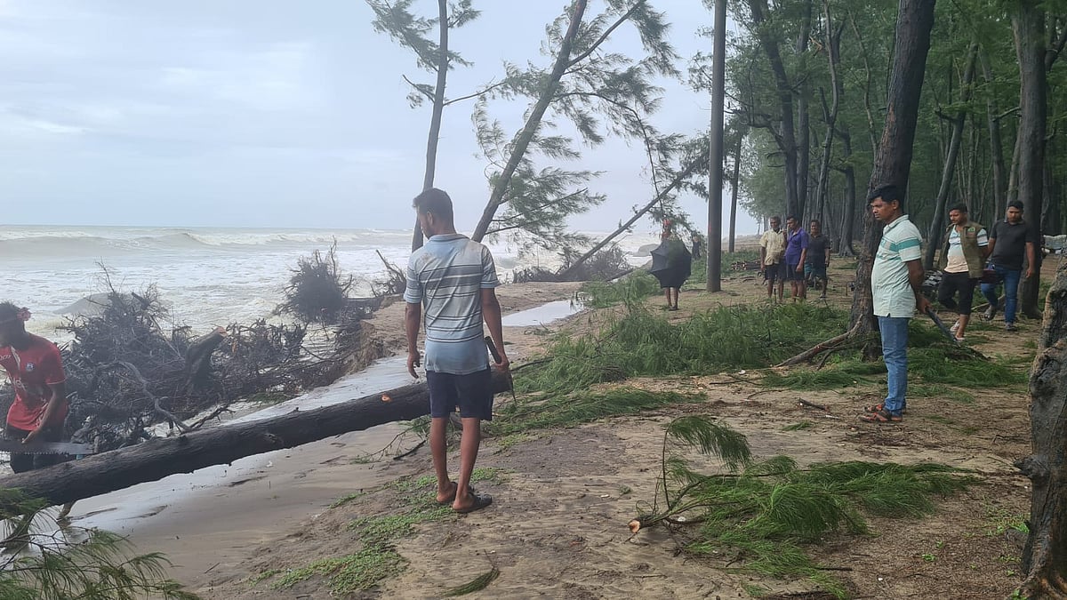সৈকতে উপড়ে পড়া ঝাউগাছ বন বিভাগের পক্ষ থেকে সরিয়ে নেওয়া হচ্ছে। গতকাল দুপুরে সৈকতের লাবণি পয়েন্টে