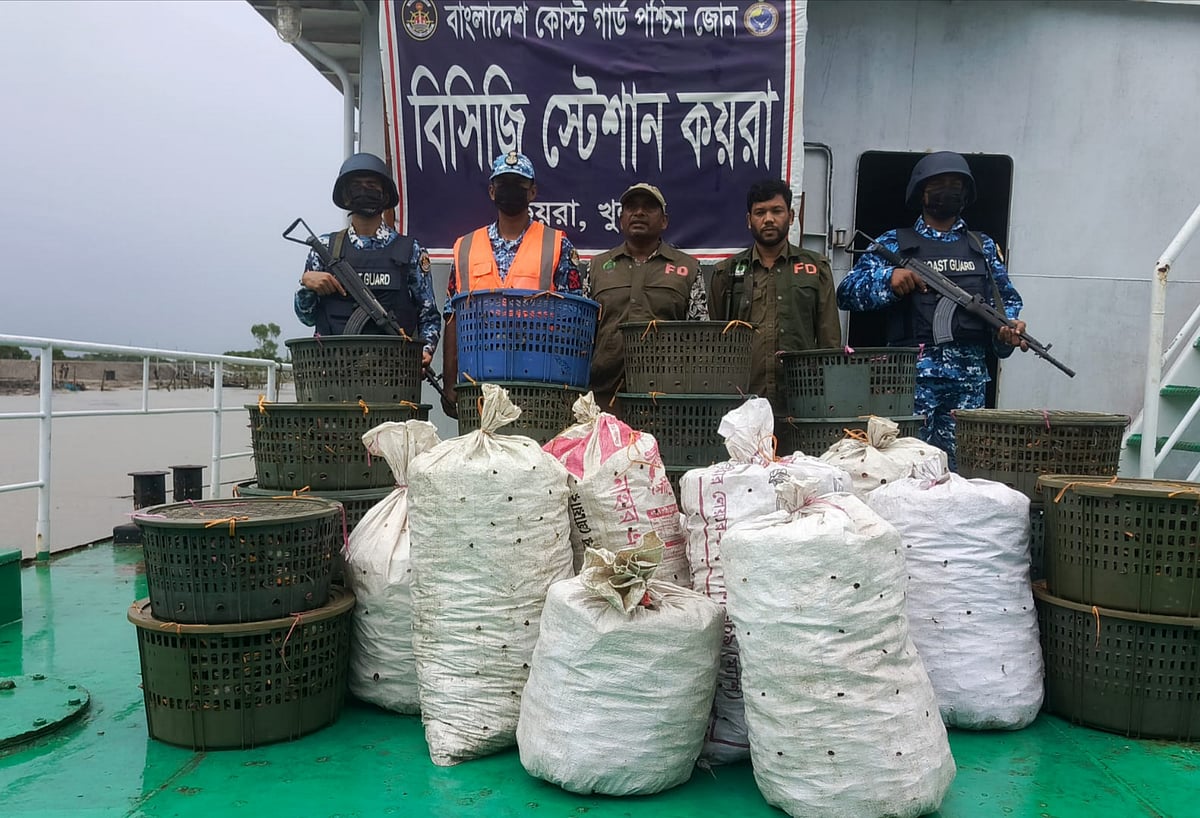 নিষেধাজ্ঞা উপেক্ষা করে সুন্দরবনের নদী ও খাল থেকে শিকার করা কাঁকড়া জব্দ করা হয়েছে। আজ রোববার সকালে কয়রার কোস্টগার্ড কার্যালয়ের সামনে