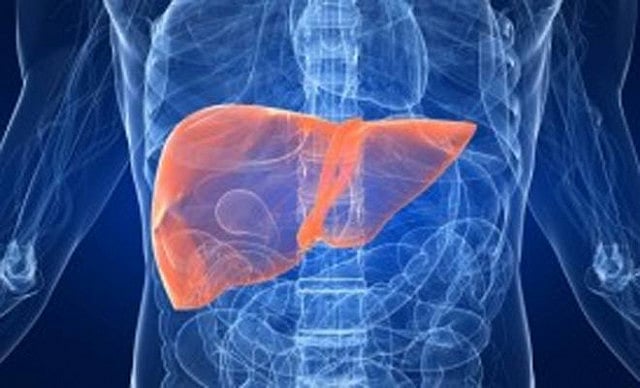 প্রতিবেদনে বলা হয়, বিশ্বে বর্তমানে প্রতিবছর ৮ লাখ ৭০ হাজার মানুষ লিভার ক্যানসারে আক্রান্ত হচ্ছেন