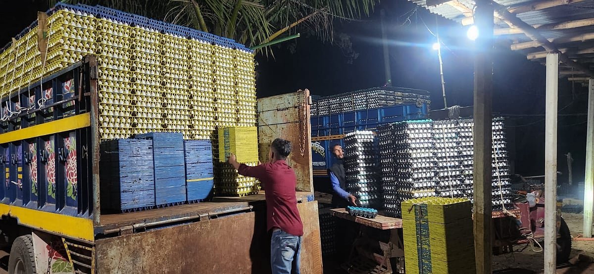 গাড়িতে ডিম ওঠানো হচ্ছে। সম্প্রতি রাজশাহীর পবা  উপজেলার মুসলেমের মোড় এলাকায়